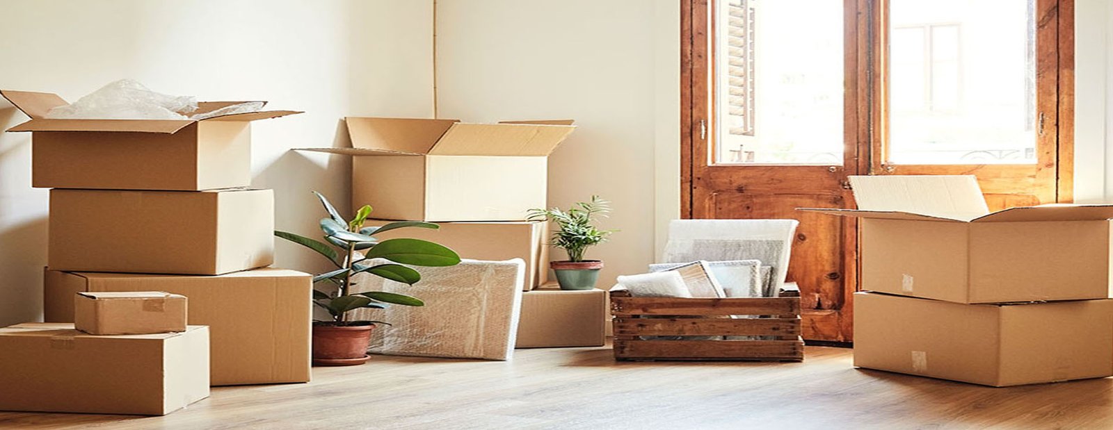 Office Shifting Services